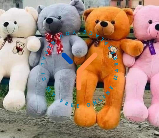 chinese-teddy-4ft-big-0
