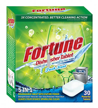 fortune-diswasher-tablet-big-0